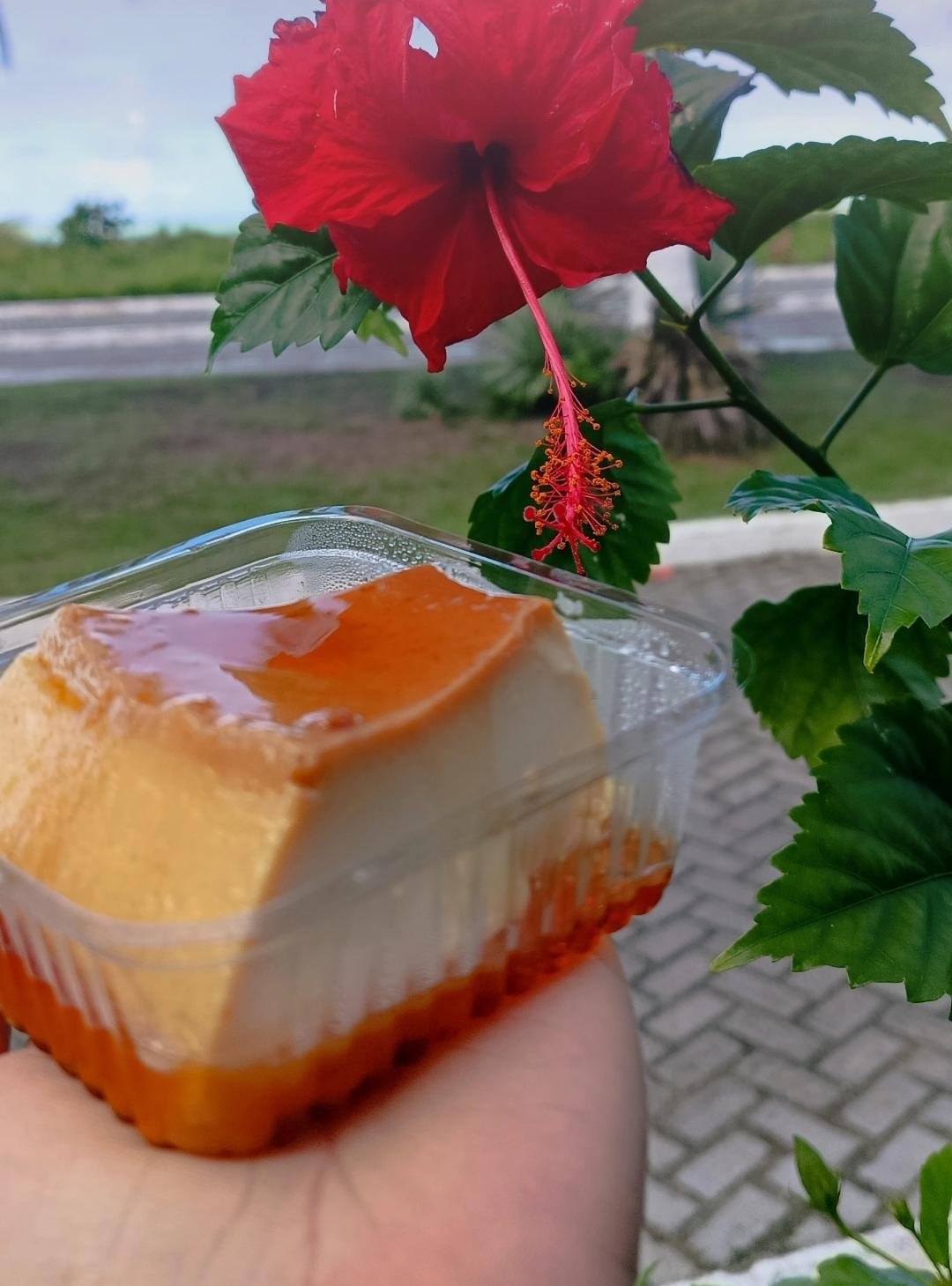 Pudim - Cozinha Encantada